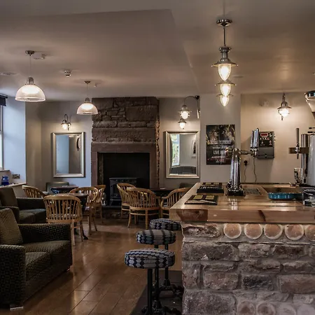 The Lion And The Lamb